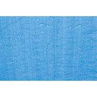 Tarp, Standard Duty, Blue, 7' x 5' x 4 mils Consource