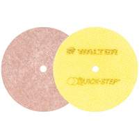 Disques de polissage instantan&eacute; Quick-Step, 5" dia. Consource