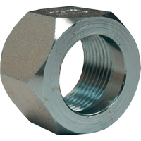 &eacute;crou hexagonal de minage Dixon, 1", Zingu&eacute;, Filetage NPT Consource