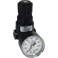 Wilkerson Miniature Regulator R04, 1/4" NPT, 300 psi Max. PSI, Standard Consource