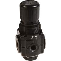 Series 1 Manifold Regulator, 1/4" NPT, 150 PSI Max. PSI, Standard Consource