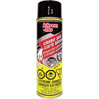 Nettoyant pour carburateurs Choke & Carb Kleen Consource