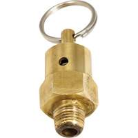 Viton&reg; Pressure Relief Valve Consource