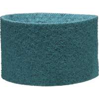 Scotch-Brite Surface Conditioning Belt Consource