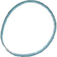 Scotch-Brite Surface Conditioning Belt Consource