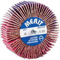 Threaded Mini Flap Wheel, Ceramic Alumina, 40 Grit, 3" x 1" x 1/4"-20 Consource