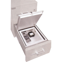 Data Protection Media Safes Consource