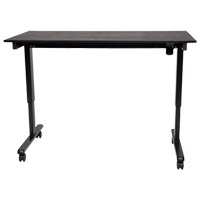 Adjustable Stand-Up Desk, Stand-Alone Desk, 45-1/4" H x 29-1/2" D, Black Consource