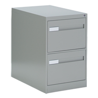 Vertical Filing Cabinet with Recessed Drawer Handles, 2 Drawers, 18.15" W x 26.56" D x 29" H, Grey Consource