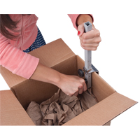 Carton Sizer Consource