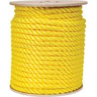 Braided Yellow Rope, Polypropylene, 300' Consource
