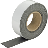 Write-On Magnetic Tags, Magnetic, 600" L x 2" W Consource