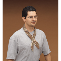 ALLEGRO INDUSTRIES Cool Offs Bandana, Multi-Colour Consource