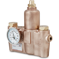 Vannes de m&eacute;lange thermostatiques, 19,5 gal./min Consource