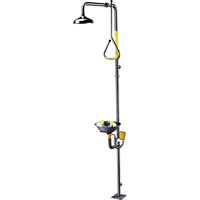 Safe-T-Zone&reg; Combination Shower & Eye/Face Wash Consource