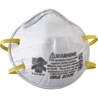 8110S Particulate Respirators, N95, NIOSH Certified, Small Consource