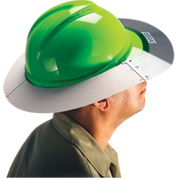 Hard Hat Accessories