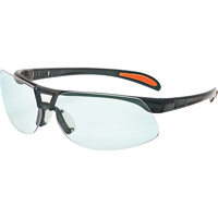 Lunettes de s&eacute;curit&eacute; Uvex Prot&eacute;g&eacute; Ultra-Dura, Lentille Transparent, Anti-&eacute;gratignures, ANSI Z87+/R&eacute;pond ou surpasse la norme CSA Z94.3 Consource
