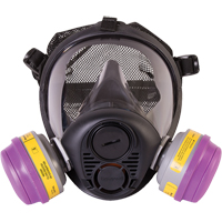 Respirateur &agrave; masque complet de s&eacute;rie RU6500 de North, Silicone, Moyen Consource