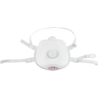Disposable Particulate Respirators
