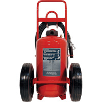 Extincteurs Red Line sur roues, BC, Capacit&eacute; 125 lb Consource