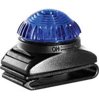 Guardian Warning Light, Continuous/Flashing, Blue Consource