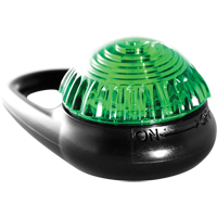 TAG-IT Guardian Warning Light, Continuous/Flashing, Green Consource