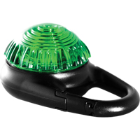 TAG-IT Guardian Warning Light, Continuous/Flashing, Green Consource