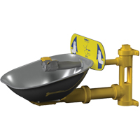 Poste de douche oculaire Halo, Installation Montage mural, Bol Acier inoxydable Consource