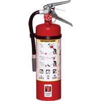 Extincteur d'incendie, ABC, Capacit&eacute; 5 lb Consource