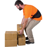 Support lombaire, &eacute;lastique, Petit Consource