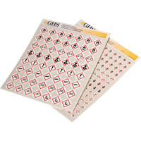 Assortiment d'&eacute;tiquettes avec pictogrammes sgh, Vinyle, Feuille, 1/2" lo x 1/2" la Consource