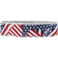 Chill-Its 6605 Cooling Headbands, Multi-Colour Consource