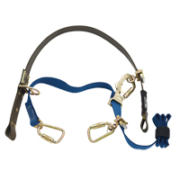 Dispositif &agrave; sangle pour escalade de poteau Cynch-Lok Consource