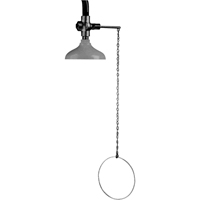 Lifesaver&reg; Emergency Overhead Showers, Ceiling-Mount Consource