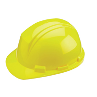 Dynamic Mont-Blanc Hardhat, CSA Type 2, Ratchet Suspension Consource