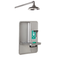 Eye/Face Wash and Shower, Ceiling-Mount Consource