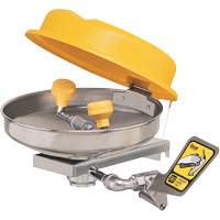 Poste de douche oculaire, Installation Montage mural, Bol Acier inoxydable Consource