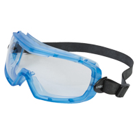 Uvex&reg; Entity Safety Goggles, Clear Lens, Anti-Fog, Indirect Vent Consource
