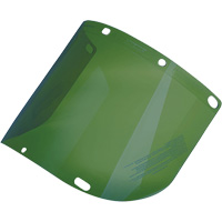 &eacute;cran facial form&eacute; Dynamic, Polycarbonate, Teinte Vert Consource