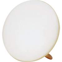 Lampe &agrave; luminoth&eacute;rapie pour le traitement de la d&eacute;pression saisonni&egrave;re Consource