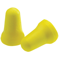 Disposable Earplugs