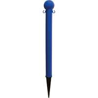 Ground Poles, Blue Consource