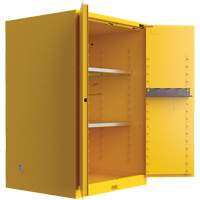 Armoire de s&eacute;curit&eacute; pour produits inflammables Utili-Guard+, 45 gal., 2 Porte(s), 43" La x 65" h x 22" p Consource