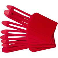 &eacute;tiquettes de cadenassage vierges en plastique, Plastique, 3-1/4" la x 5-4/5" h, Vierge Consource