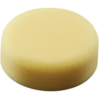 Polishing Pad, 3" Dia. Consource