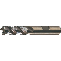 PM Plus Single End Roughers, Powder Metal, 3-Flute, Centre Cutting, Square End, 3/4" Dia. Consource