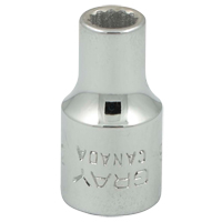 Socket, 3/16", 1/4" Drive, 12 Points Consource