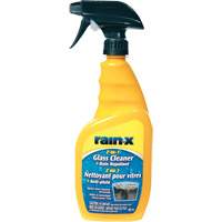 2-in-1 Glass Cleaner with Rain Repellent Consource