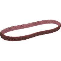 Scotch-Brite Surface Conditioning Belt Consource